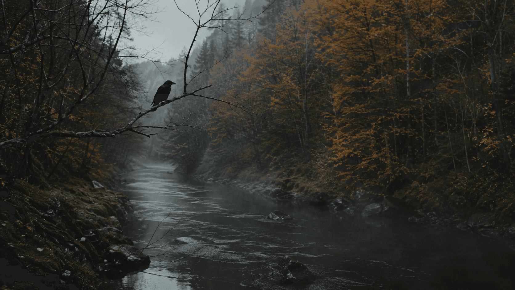 Ufer der Vologne bei Lépanges-sur-Vologne, Vogesen, Frankreich — Fundort vom 16. Oktober 1984