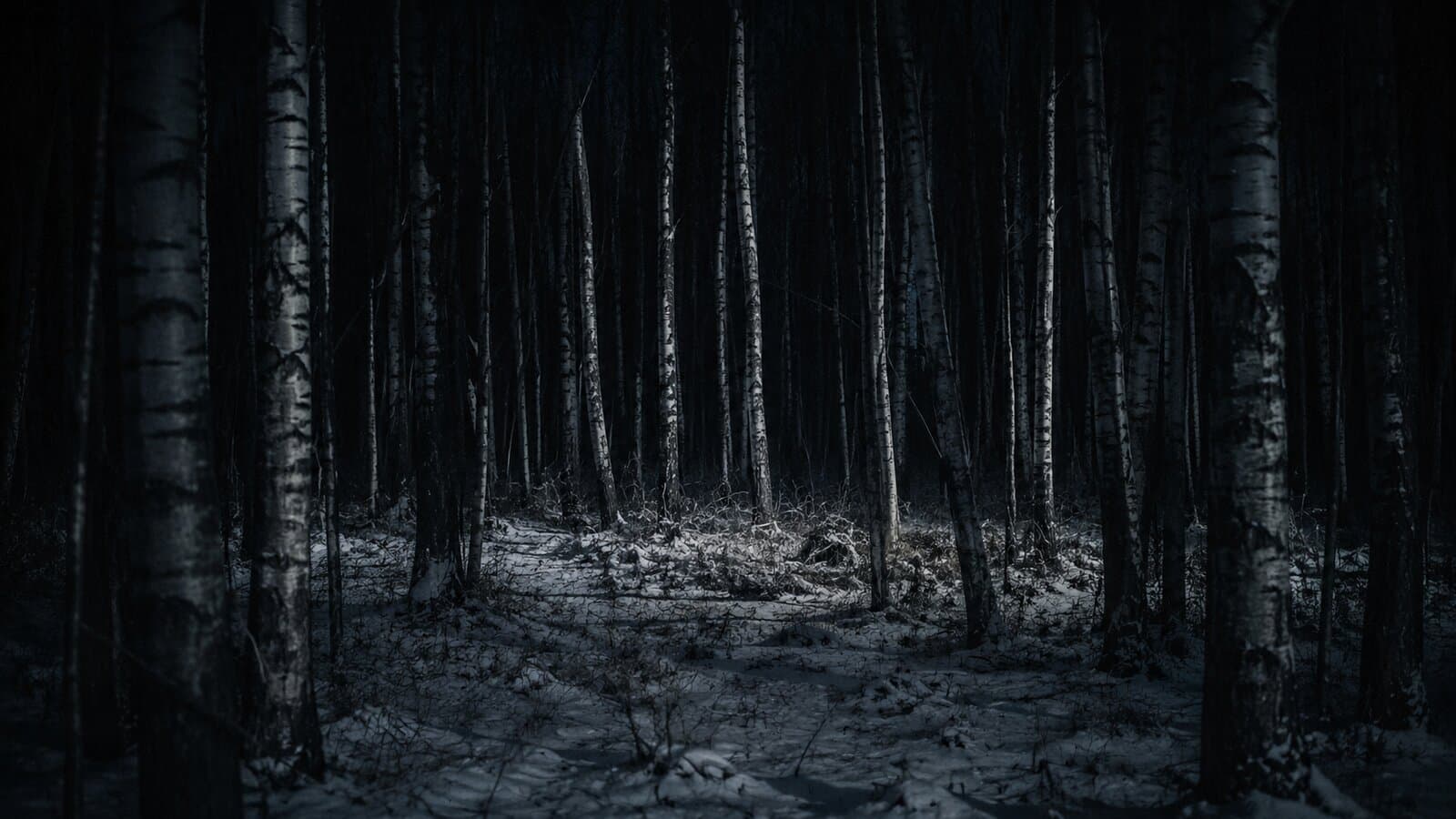 Koptyaki-Wald bei Jekaterinburg — Fundort der Romanov-Überreste